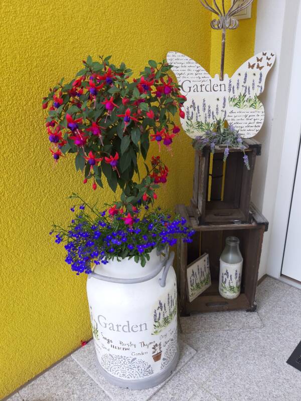 Milchkanne – Bild 12